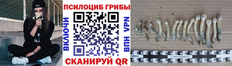 Псилоцибиновые грибы ЛСД  Железногорск 